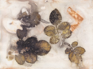 Ecoprint rose leaves