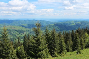 Landscape in the mountains. Carpathians.