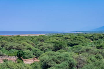 Fototapeta na wymiar The Manyara lake in Tanzania, beautiful panorama with the lake in background