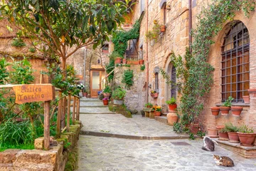 Photo sur Plexiglas Toscane Belle ruelle en Toscane, vieille ville, Italie