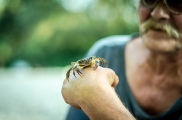 crab in a hand