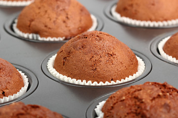 Chocolate Muffins