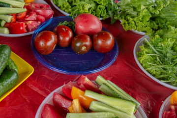 Vegetables served at picnic party outdoor. Close up of tomatoes, cucumbers, pepper, salad and other edible greens. Whole, cropped and sliced raw vegetable on plastic disposable tableware