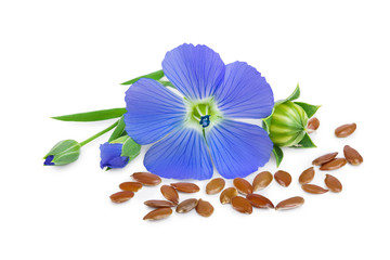 flax seeds with flower isolated on white background
