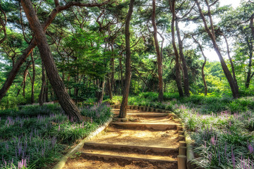 achasan ecological park