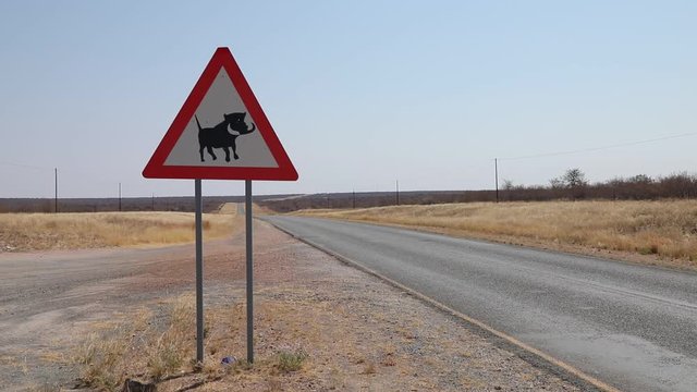 Animal road sign along highway in Namibia