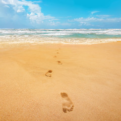 Footprints in sand, coming from sea. Focus on foreground