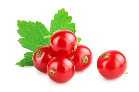 Red currant berries with leaf isolated on white background