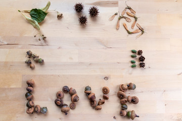 Schriftzug Love aus Eicheln mit vielen verschiedenen Waldfrüchten, Samen und Tannenzapfen zeigt die Schönheit im Herbst im Wald