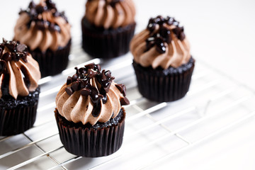 Homemade sweet chocolate cupcakes