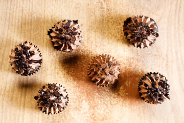 Obraz na płótnie Canvas Homemade sweet chocolate cupcakes
