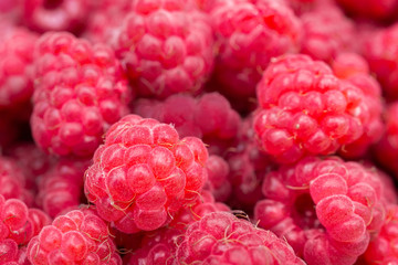 Raspberry fruit background