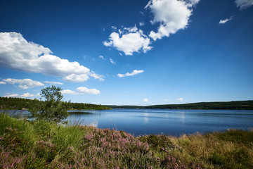 Lac de Charpal en été