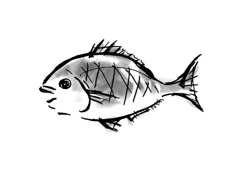 鯛 魚 魚介類 メデタイ お正月 手書き 筆書き 手描き めでたい めで鯛 墨絵 縁起物 赤 魚 Stock イラスト Adobe Stock