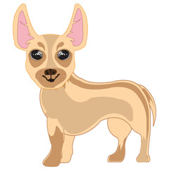 Vector illustration of the small dog of the sort that terrier