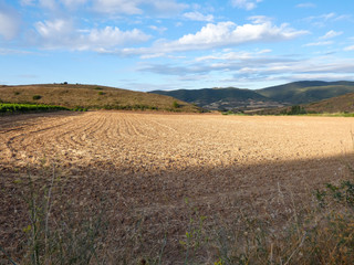 Fototapeta na wymiar Campo preparado para la siembra en la comunidad de Navarra
