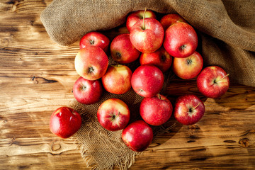 Fresh red apples and autumn time 
