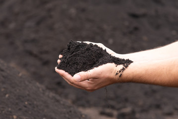 Male hands hold fertile black soil - fertility concept