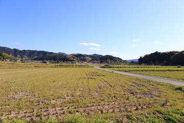 田舎