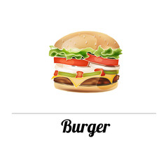 Vector illustration of a burger isolated on a white background. 