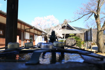 橘寺