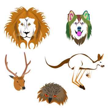 Drawing of various animal heads on white background