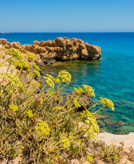  colorful pristine nature of the coast of Cyprus cape cavo greco with clear blue water and yellow rocks