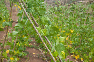 Gran Canaria, August