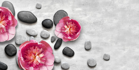 Obraz na płótnie Canvas Flat lay composition with spa stones, pion pink flower on grey background.