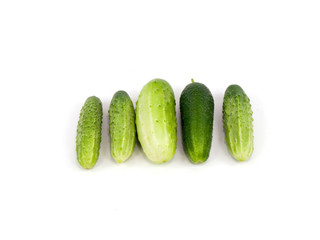 Cucumbers on a white background