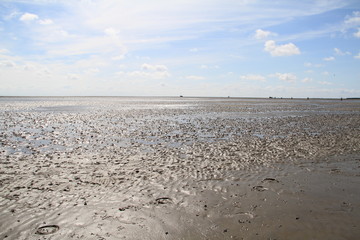 Schlick und Wattenmeer Neuwerk 