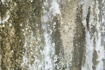 Fototapeta premium Old walls with water stains until moss