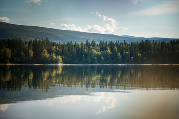 Beautiful summer landscape, the shore of Lake Snasa in Norway, soft focus through the flowers