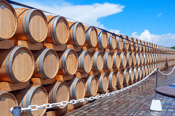 Wooden barrels for wine.