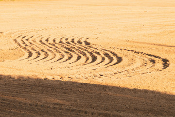 Fototapeta na wymiar Pattern of curved ridges and furrows on a sandy field. traces on the sand