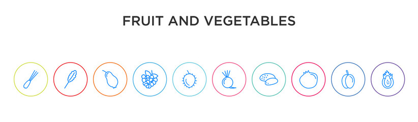 fruit and vegetables concept 10 outline colorful icons