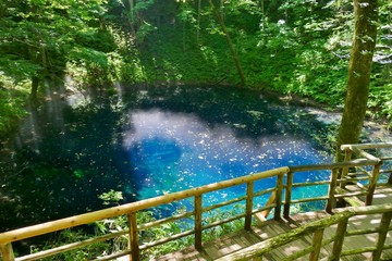 《十二湖の青池》青森県深浦町