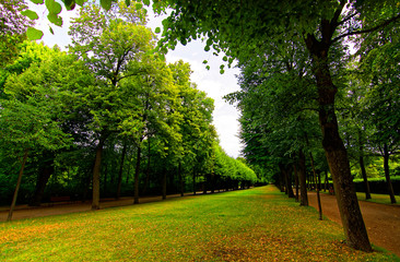 Obraz premium beautiful landscapes in the old park of the city of Ansbach