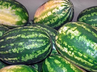 Fresh Big whole water melon