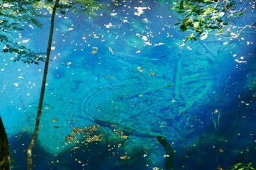 《十二湖の青池》青森県深浦町