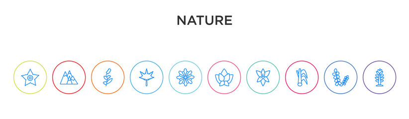nature concept 10 outline colorful icons