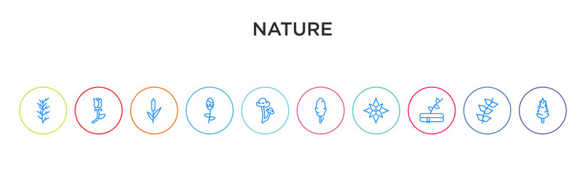 nature concept 10 outline colorful icons