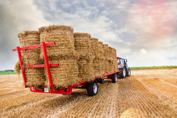 collecting straw bales after the harvest
