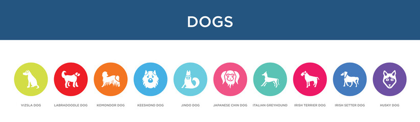 dogs concept 10 colorful icons