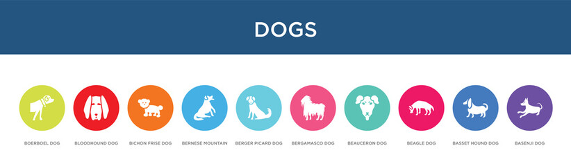 Fototapeta na wymiar dogs concept 10 colorful icons