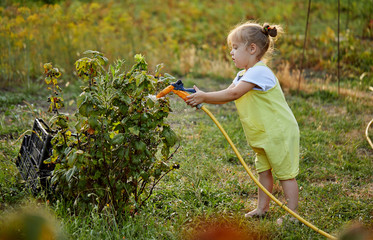 Funny little girl playing with garden hose in sunny backyard. Preschooler child having fun with...