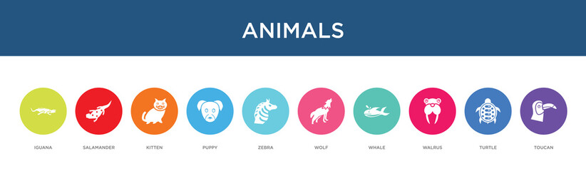 Naklejka premium animals concept 10 colorful icons