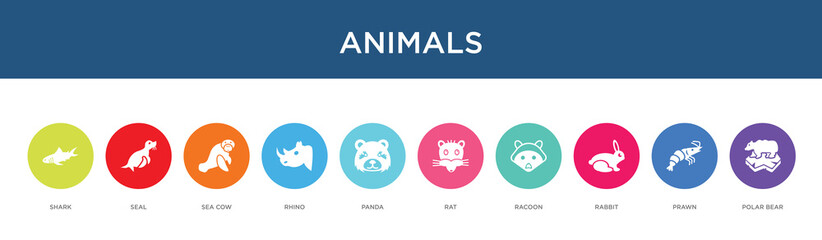 animals concept 10 colorful icons