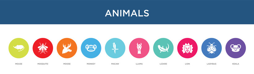 Fototapeta na wymiar animals concept 10 colorful icons
