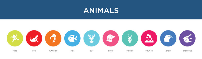 animals concept 10 colorful icons